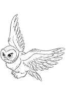Harry Potter kleurplaat 6